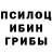 Галлюциногенные грибы GOLDEN TEACHER Laura Mazoch