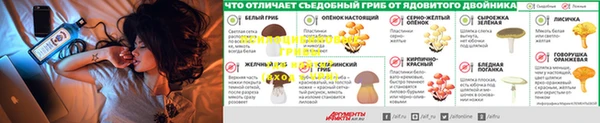дмт Вязьма