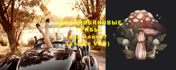 MESCALINE Вяземский