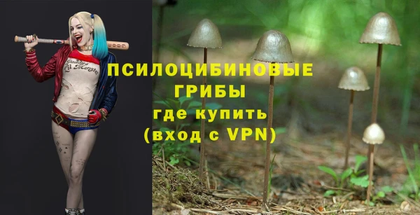 спайс Вязники