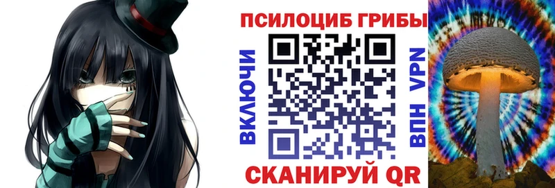 KRAKEN как зайти  что такое   Махачкала  Галлюциногенные грибы мицелий 